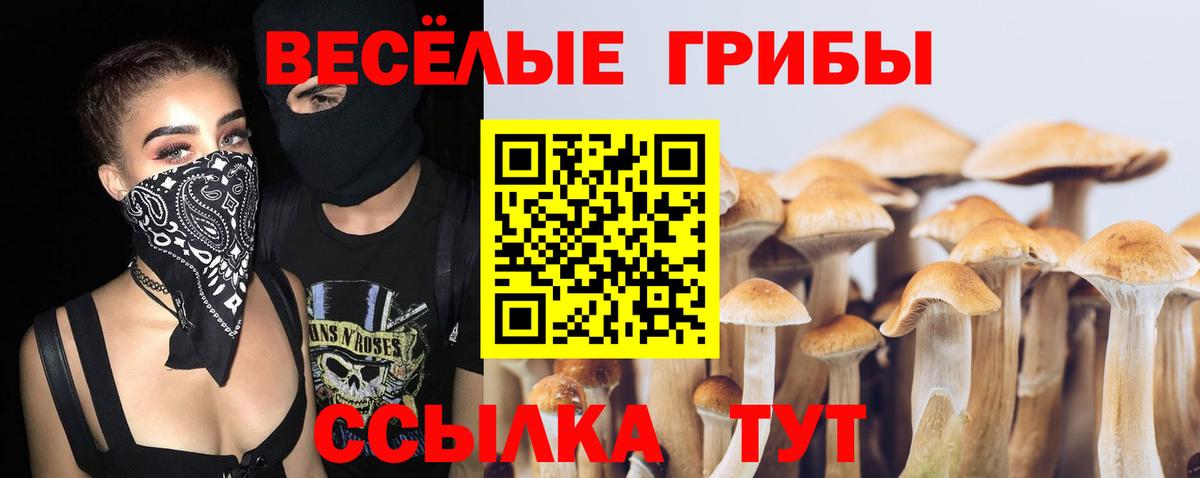 Псилоцибиновые грибы Cubensis Сорочинск